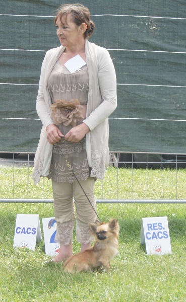Exposition de Dieppe 29 juillet 2012